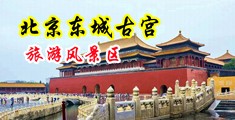 男人的鸡巴插进女人逼的视频中国北京-东城古宫旅游风景区